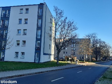 ul. Ludwika Zamenhofa, Chylonia, Gdynia, pomorskie