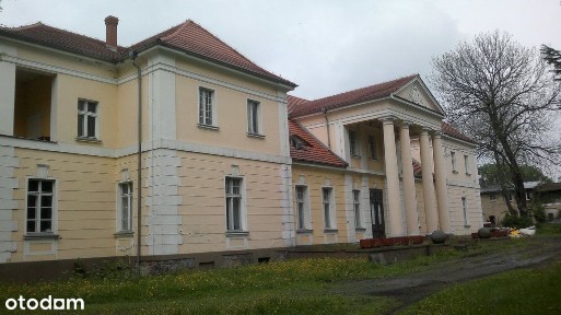 Pałac w Drobninie na Sprzedaż, pow 956 m2