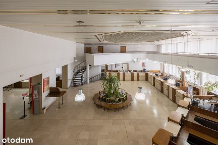 ul. Andrzeja Dowkontta, Planty, Radom, mazowieckie