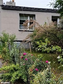 Dom parterowy z potencjałem