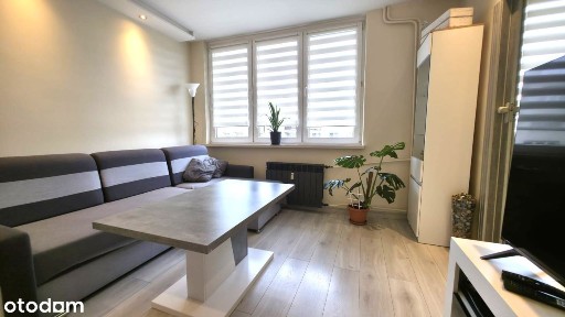 Piękne 3 Pok! Po Remoncie! Doinwestowane! Balkon!