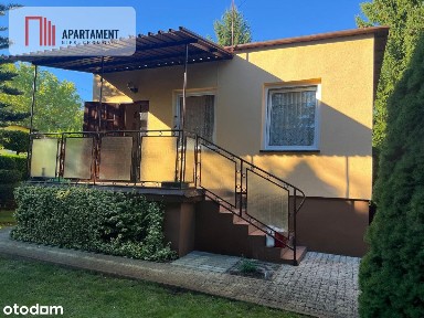 Ładna działka rekreacyjna w Drzewcach