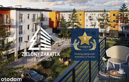 Wrzosy, Toruń, kujawsko-pomorskie