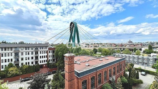 Toruńska, Wzgórze Wolności, Bydgoszcz, kujawsko-pomorskie