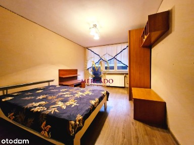 Mieszkanie w lesie, 5 minut od centrum miasta!