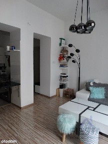 Sosnowiec Pogoń Szpaków dwa pokoje