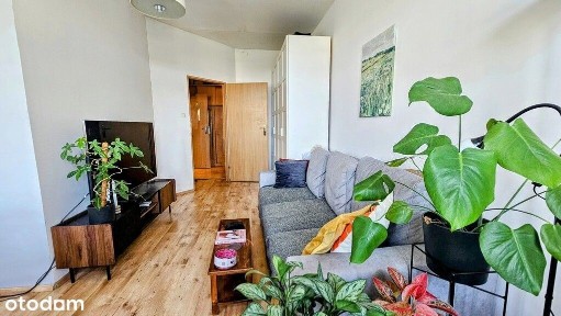 ul. św. Wincentego, Nadodrze, Śródmieście, Wrocław, dolnośląskie