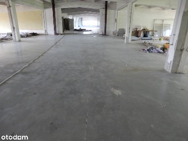 Usługi, magazyn, produkcja, duży parking!