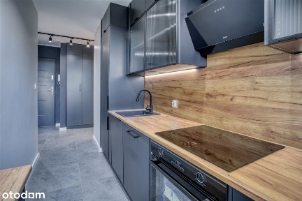 Załęska Hałda-Brynów, Katowice, śląskie