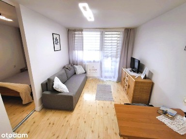 2 pok. mieszk. za wynajem w Centrum Zielonej Góry!