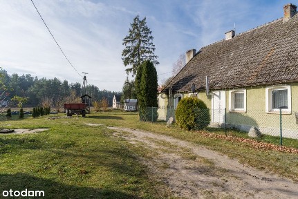 Wyjątkowa Inwestycja nad jeziorem Bory Tucholskie