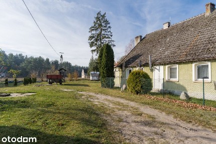 Wycinki | 32000m2 | Inwestycja | Bory Tucholskie