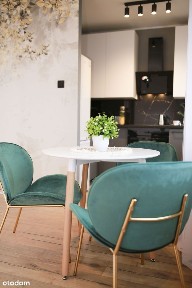 Mieszkanie do wynajęcia na Widoku