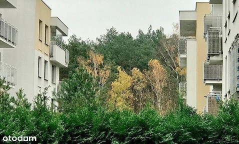 3 pokoje / ogródek / garaż / las / metro