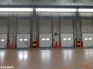 Magazyn na wynajem/ 10 000 m2/ Mszczonów/ z regałami