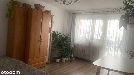 ul. Jasna, Trynek, Gliwice, śląskie