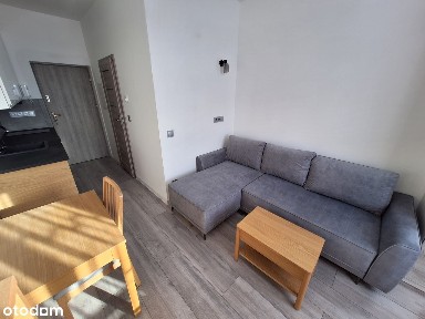 Nowe mieszkania do wynajęcia dla pierwszego najemcy! я запрошую