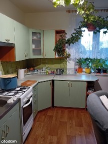 kamienica/piwnica/ogródek