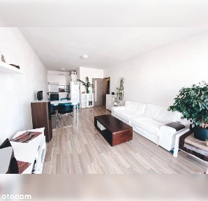 Centrum, Stare Miasto, Poznań, wielkopolskie