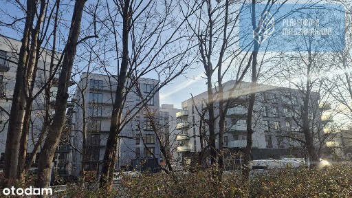 Winogrady, Stare Miasto, Poznań, wielkopolskie