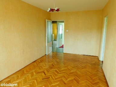 Winogrady, Stare Miasto, Poznań, wielkopolskie