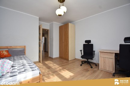 ul. Wolności, Śródmieście, Zabrze, śląskie