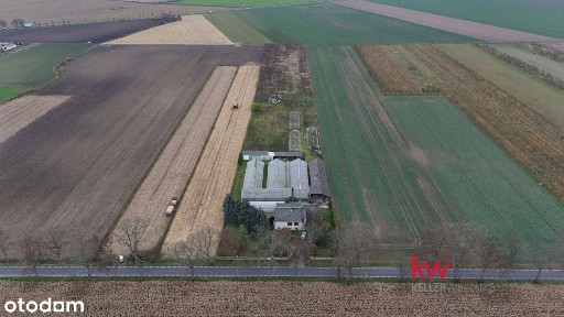 Dom/duża działka/wiele możliwości