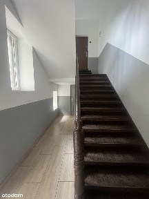 M-2 do wynajęcia z meldunkiem stałym, Parter