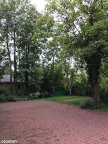 Atrakcyjne duże mieszkanie do wynajęcia