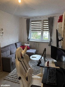 Polkowice, polkowicki, dolnośląskie