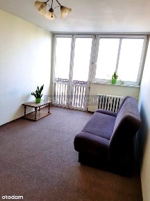 2 pokoje w świetnej lokalizacji + piwnica