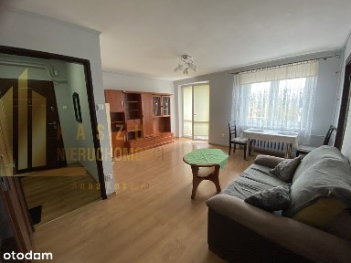 Żary, żarski, lubuskie