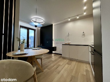 ul. Pabianicka, Aleksandrów Łódzki, zgierski, łódzkie