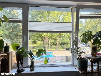 Wyjątkowa oferta dla inwestora !