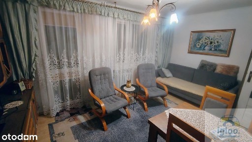 Jarzębinowa, Sady, Kielce, świętokrzyskie