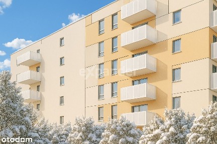 ul. Ziarnista, Winogrady, Stare Miasto, Poznań, wielkopolskie