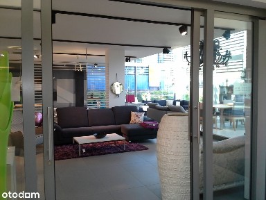 al. Niepodległości, Kamienny Potok, Sopot, pomorskie