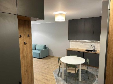 Nowe 2 pokojowe mieszkanie do wynajęcia Mosina ul Krotowskiego