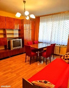 ul. Sportowa, Dąb, Katowice, śląskie