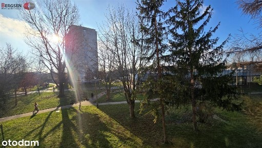 ul. Janusza Meissnera, Rakowice, Prądnik Czerwony, Kraków, małopolskie