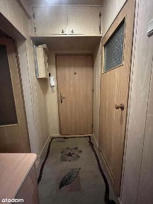 Jastrzębie-Zdrój, śląskie