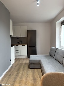 Mieszkanie do wynajęcia