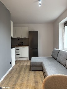 Mieszkanie do wynajęcia