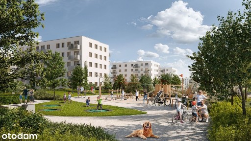 Błoń Janowskich, Rumia, wejherowski, pomorskie