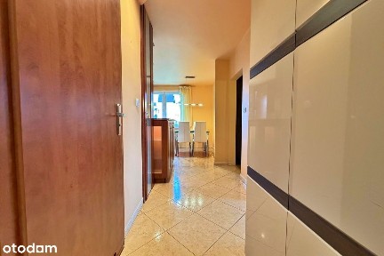 2 pokoje na wynajem - 56 m², Balkon, Parkitka - Okulickiego