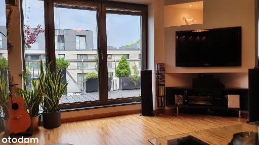 Błonia Wilanowskie, Wilanów, Warszawa, mazowieckie