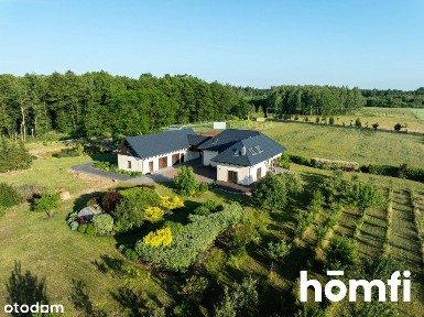 Budynki, kort, sad, staw, ziemianka, pasieka