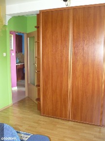 ul. Małej Brzozy, Grodzisk, Białołęka, Warszawa, mazowieckie