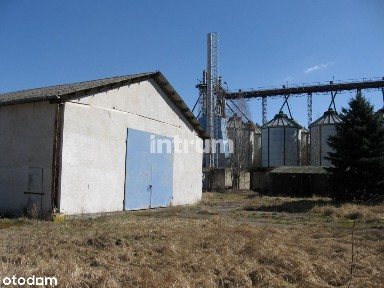 Lokal użytkowy, 3 386,40 m², Jemielno