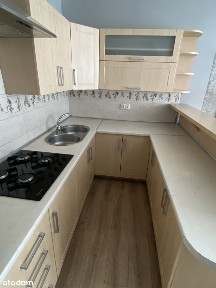 Mieszkanie 2 pokoje - parter - wynajem - 35m - bez pośredników